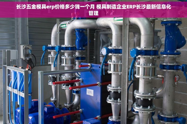 长沙五金模具erp价格多少钱一个月 模具制造企业ERP长沙最新信息化管理