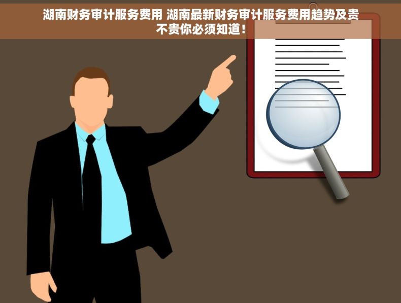 湖南财务审计服务费用 湖南最新财务审计服务费用趋势及贵不贵你必须知道！