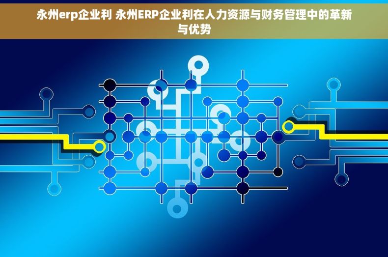永州erp企业利 永州ERP企业利在人力资源与财务管理中的革新与优势