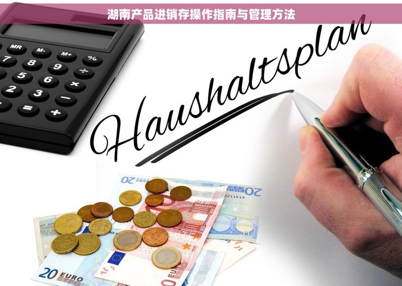 湖南产品进销存操作指南与管理方法