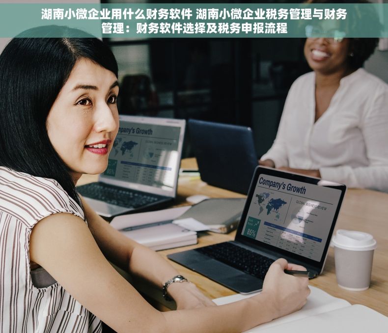 湖南小微企业用什么财务软件 湖南小微企业税务管理与财务管理：财务软件选择及税务申报流程