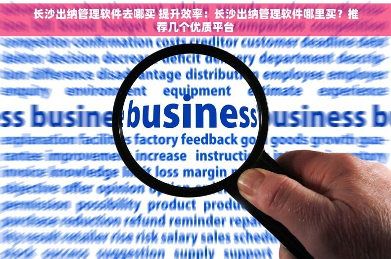 长沙出纳管理软件去哪买 提升效率：长沙出纳管理软件哪里买？推荐几个优质平台