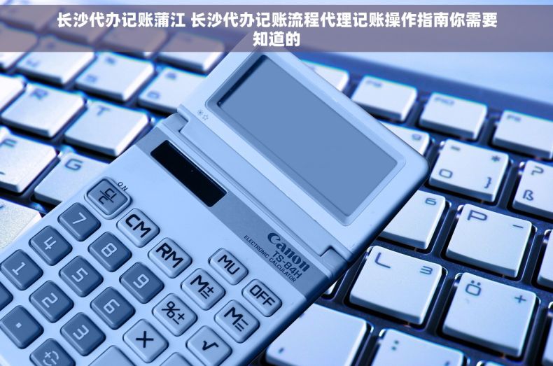 长沙代办记账蒲江 长沙代办记账流程代理记账操作指南你需要知道的