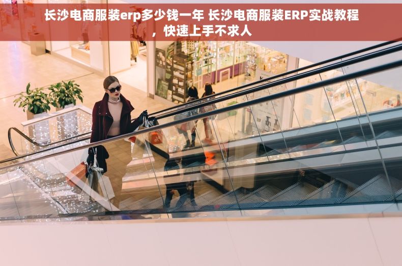 长沙电商服装erp多少钱一年 长沙电商服装ERP实战教程，快速上手不求人