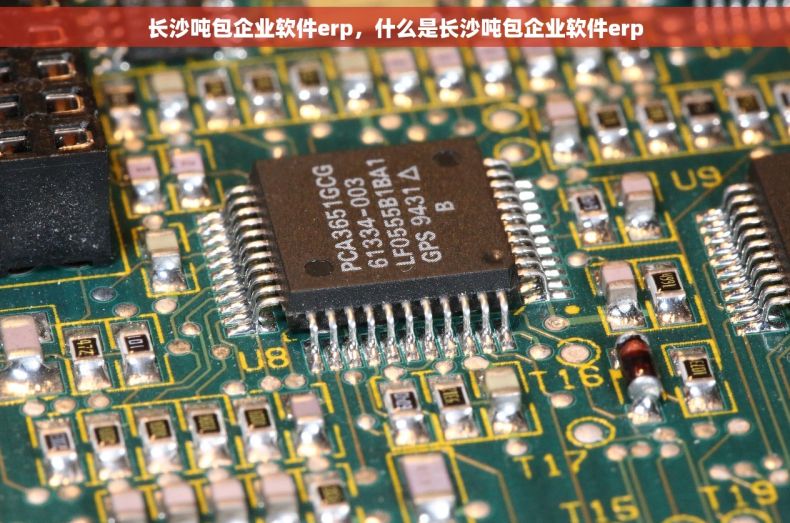 长沙吨包企业软件erp，什么是长沙吨包企业软件erp