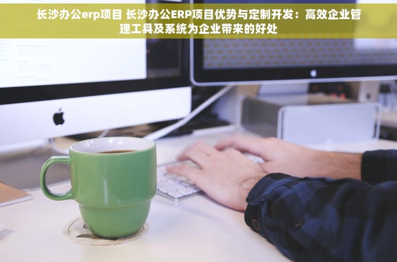 长沙办公erp项目 长沙办公ERP项目优势与定制开发：高效企业管理工具及系统为企业带来的好处