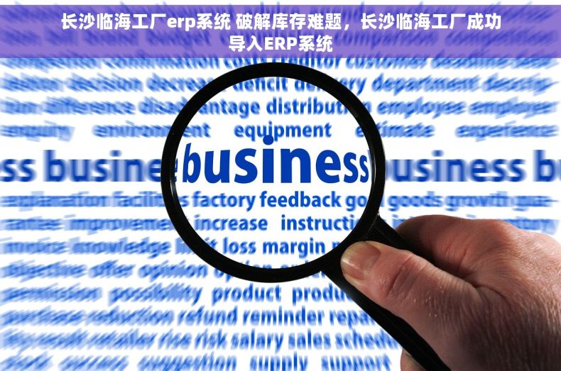 长沙临海工厂erp系统 破解库存难题，长沙临海工厂成功导入ERP系统