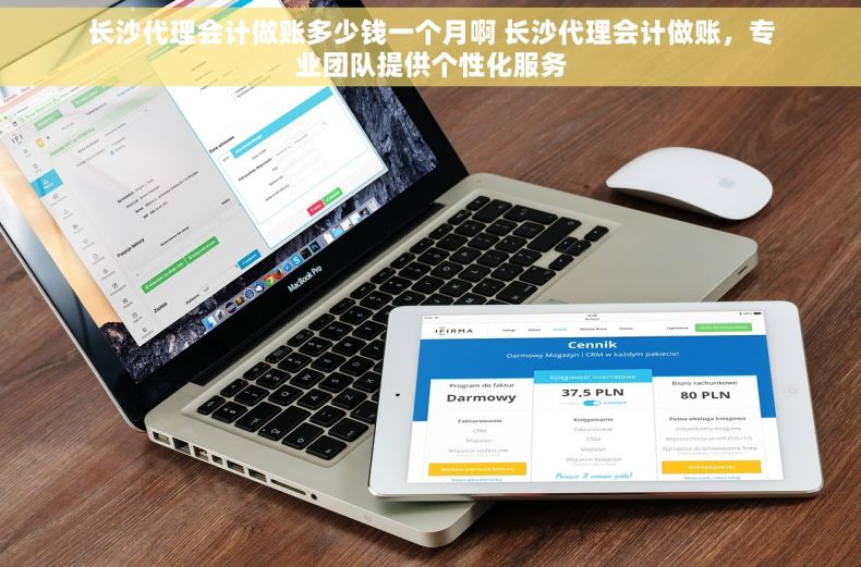 长沙代理会计做账多少钱一个月啊 长沙代理会计做账，专业团队提供个性化服务