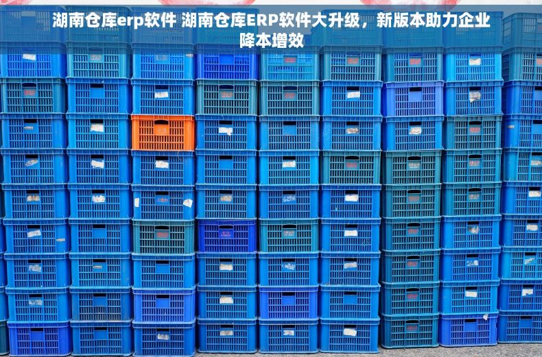 湖南仓库erp软件 湖南仓库ERP软件大升级，新版本助力企业降本增效