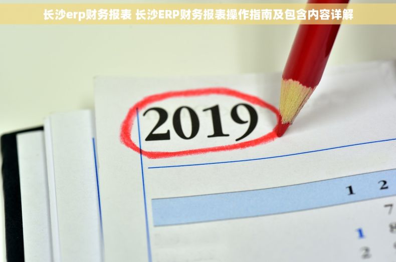 长沙erp财务报表 长沙ERP财务报表操作指南及包含内容详解