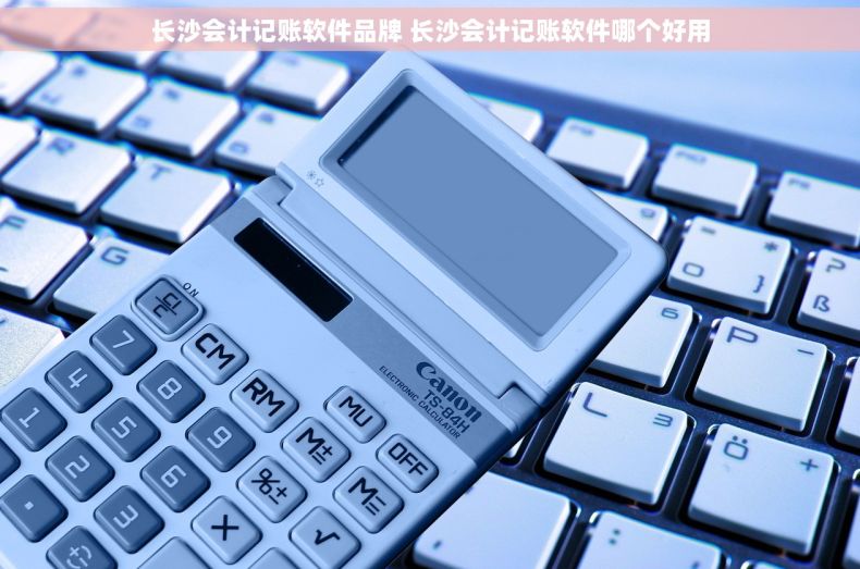 长沙会计记账软件品牌 长沙会计记账软件哪个好用