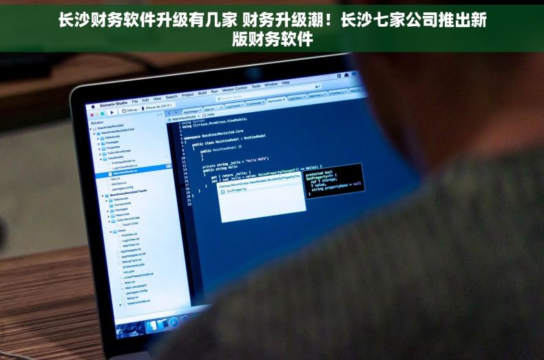 长沙财务软件升级有几家 财务升级潮！长沙七家公司推出新版财务软件