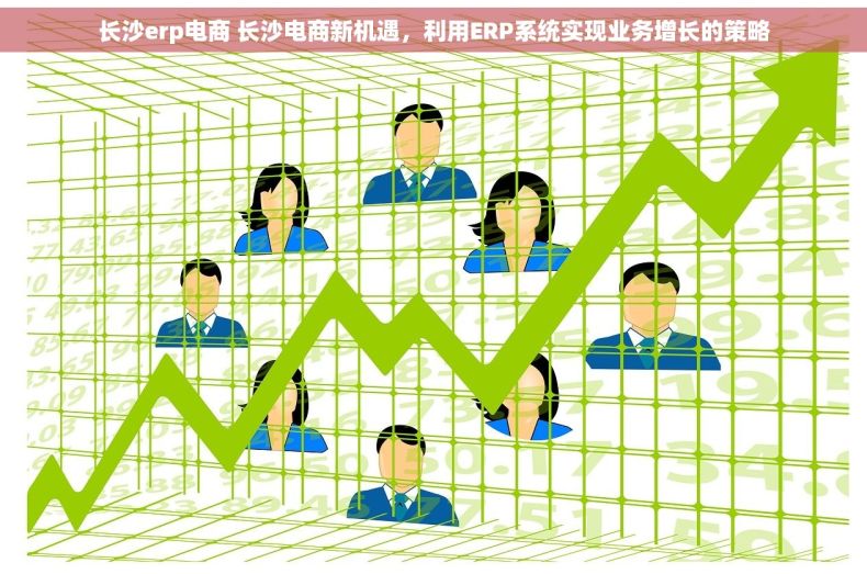 长沙erp电商 长沙电商新机遇，利用ERP系统实现业务增长的策略