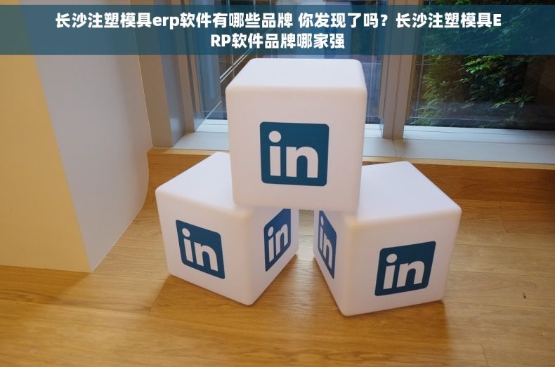 长沙注塑模具erp软件有哪些品牌 你发现了吗？长沙注塑模具ERP软件品牌哪家强