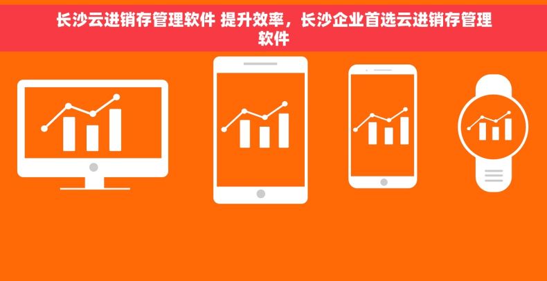 长沙云进销存管理软件 提升效率，长沙企业首选云进销存管理软件