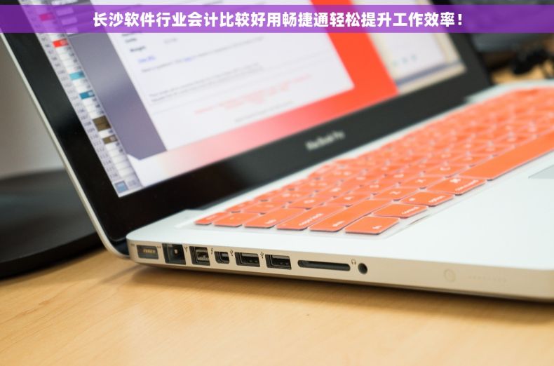长沙软件行业会计比较好用畅捷通轻松提升工作效率！