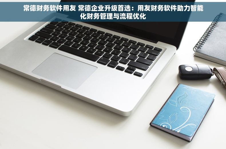 常德财务软件用友 常德企业升级首选：用友财务软件助力智能化财务管理与流程优化