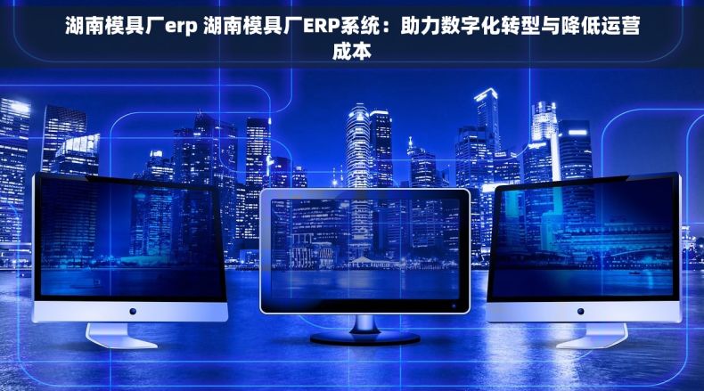 湖南模具厂erp 湖南模具厂ERP系统：助力数字化转型与降低运营成本
