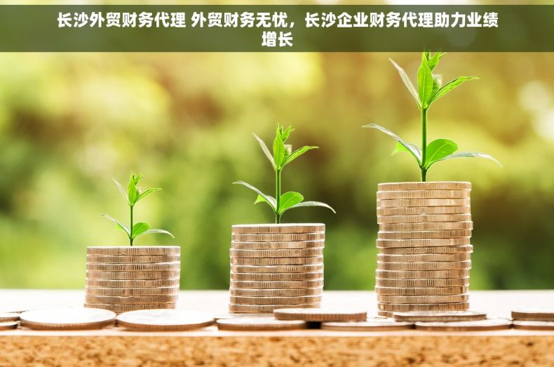 长沙外贸财务代理 外贸财务无忧，长沙企业财务代理助力业绩增长