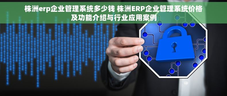 株洲erp企业管理系统多少钱 株洲ERP企业管理系统价格及功能介绍与行业应用案例