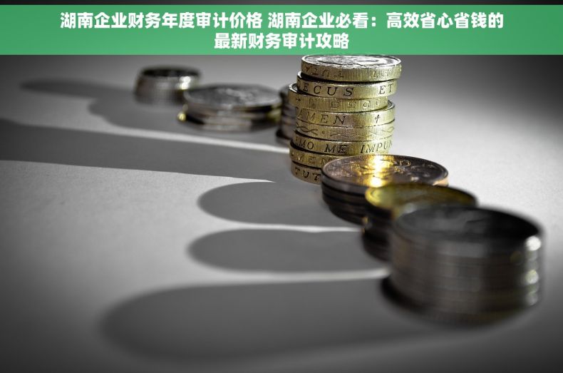 湖南企业财务年度审计价格 湖南企业必看：高效省心省钱的最新财务审计攻略