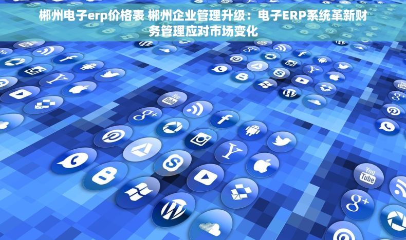 郴州电子erp价格表 郴州企业管理升级：电子ERP系统革新财务管理应对市场变化