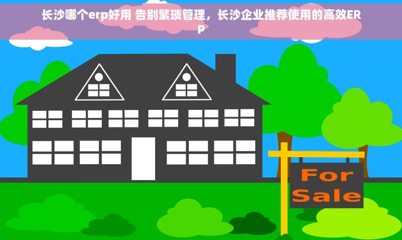 长沙哪个erp好用 告别繁琐管理，长沙企业推荐使用的高效ERP
