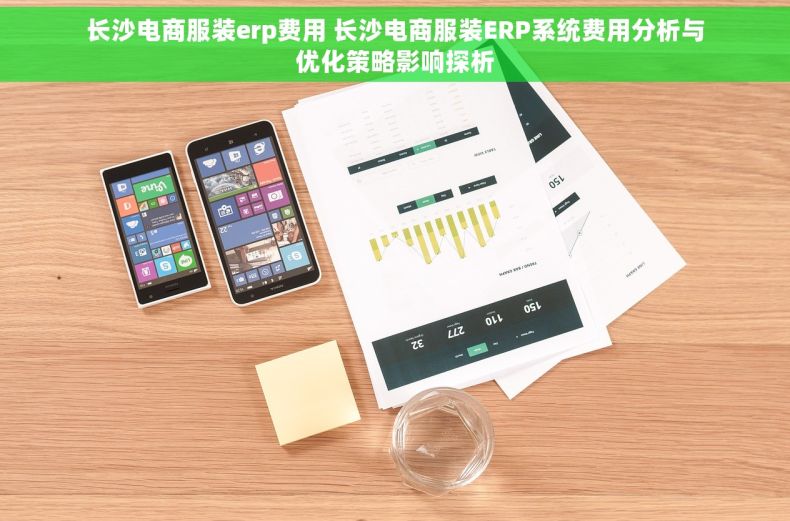 长沙电商服装erp费用 长沙电商服装ERP系统费用分析与优化策略影响探析