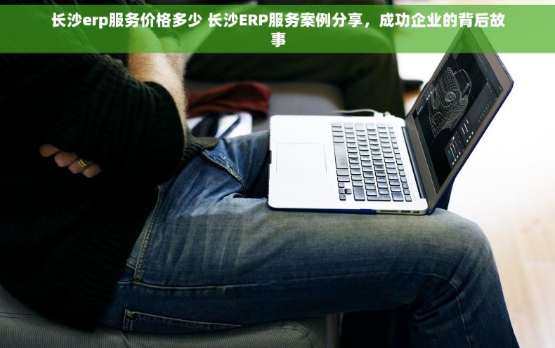 长沙erp服务价格多少 长沙ERP服务案例分享，成功企业的背后故事