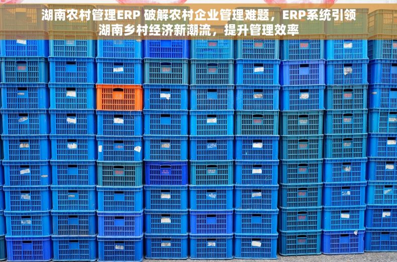 湖南农村管理ERP 破解农村企业管理难题，ERP系统引领湖南乡村经济新潮流，提升管理效率
