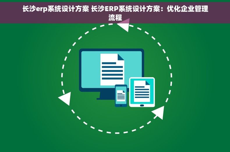 长沙erp系统设计方案 长沙ERP系统设计方案：优化企业管理流程