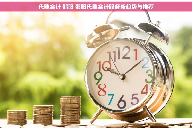 代账会计 邵阳 邵阳代账会计服务新趋势与推荐