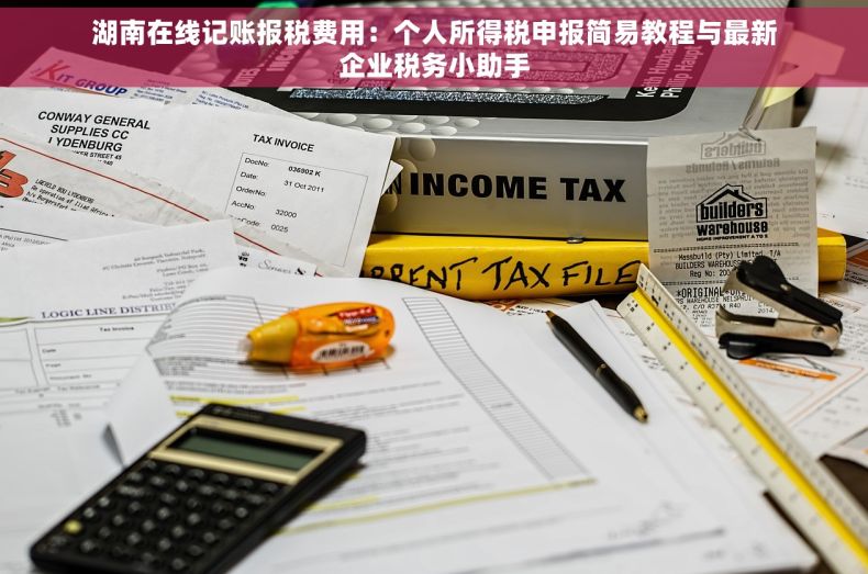 湖南在线记账报税费用：个人所得税申报简易教程与最新企业税务小助手