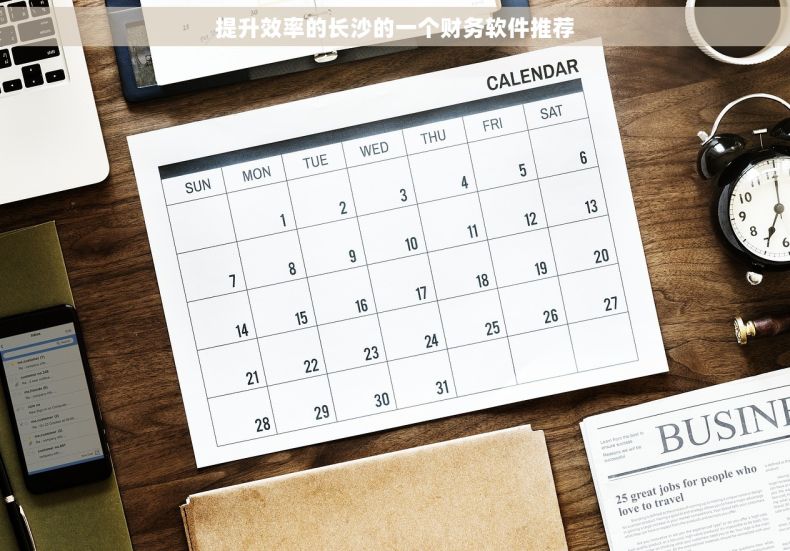 提升效率的长沙的一个财务软件推荐