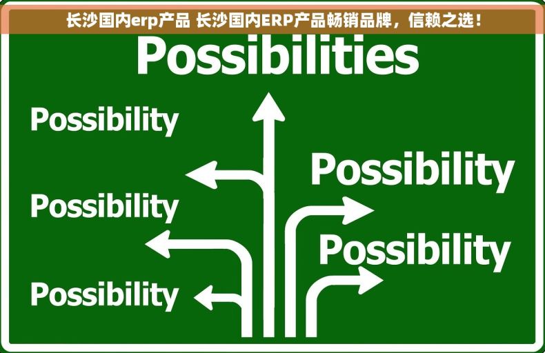 长沙国内erp产品 长沙国内ERP产品畅销品牌，信赖之选！