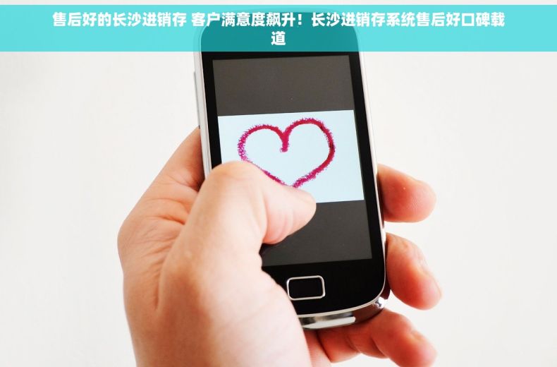 售后好的长沙进销存 客户满意度飙升！长沙进销存系统售后好口碑载道