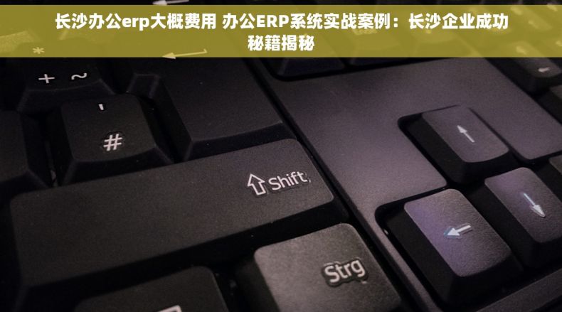 长沙办公erp大概费用 办公ERP系统实战案例：长沙企业成功秘籍揭秘