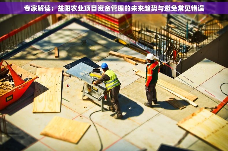 专家解读：益阳农业项目资金管理的未来趋势与避免常见错误