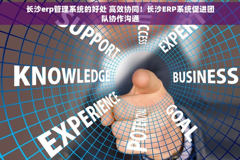 长沙erp管理系统的好处 高效协同！长沙ERP系统促进团队协作沟通
