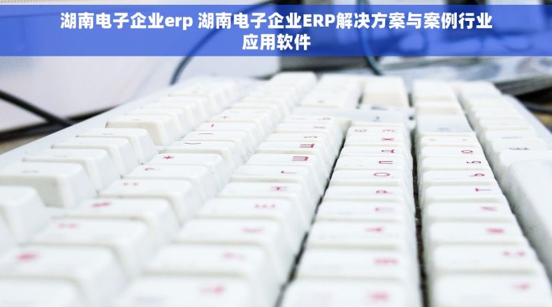 湖南电子企业erp 湖南电子企业ERP解决方案与案例行业应用软件