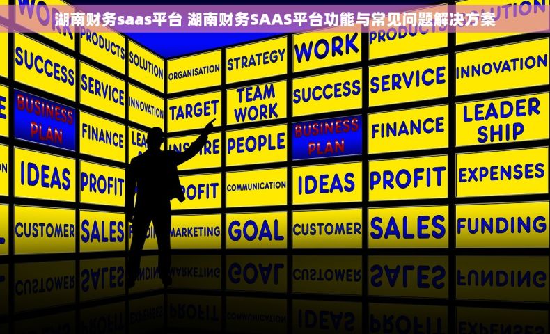 湖南财务saas平台 湖南财务SAAS平台功能与常见问题解决方案