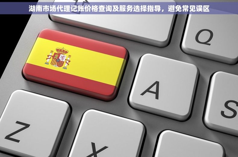 湖南市场代理记账价格查询及服务选择指导，避免常见误区
