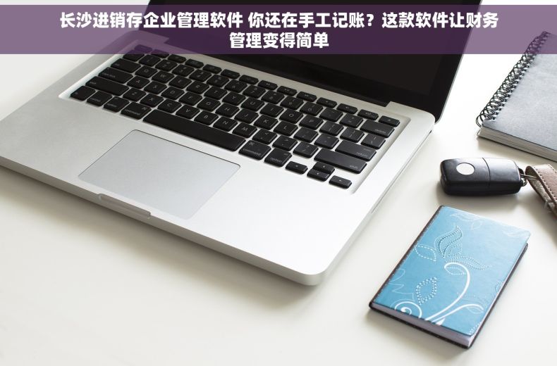 长沙进销存企业管理软件 你还在手工记账？这款软件让财务管理变得简单