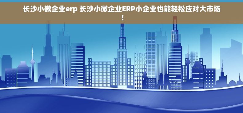 长沙小微企业erp 长沙小微企业ERP小企业也能轻松应对大市场！