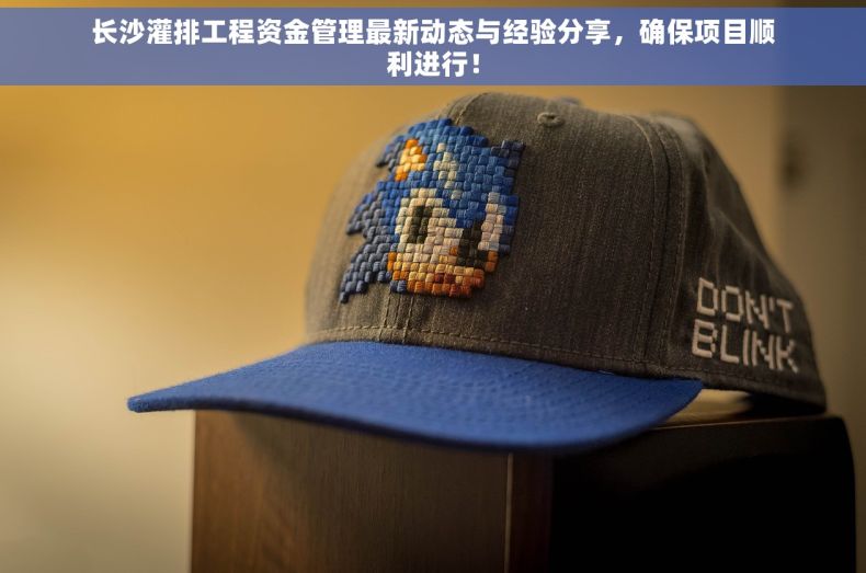 长沙灌排工程资金管理最新动态与经验分享，确保项目顺利进行！