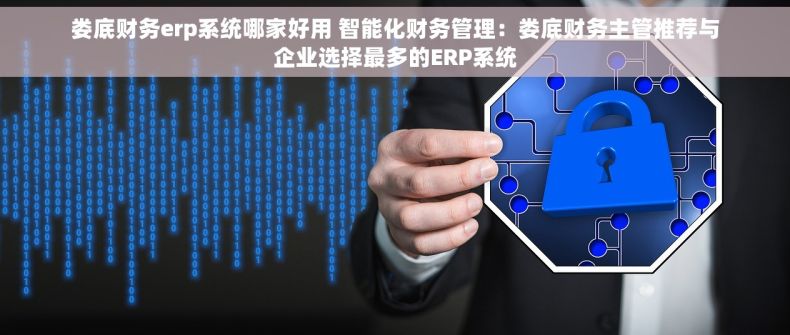 娄底财务erp系统哪家好用 智能化财务管理：娄底财务主管推荐与企业选择最多的ERP系统