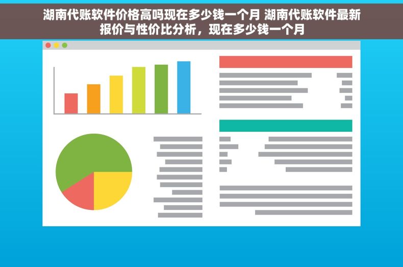 湖南代账软件价格高吗现在多少钱一个月 湖南代账软件最新报价与性价比分析，现在多少钱一个月