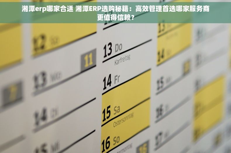 湘潭erp哪家合适 湘潭ERP选购秘籍：高效管理首选哪家服务商更值得信赖？