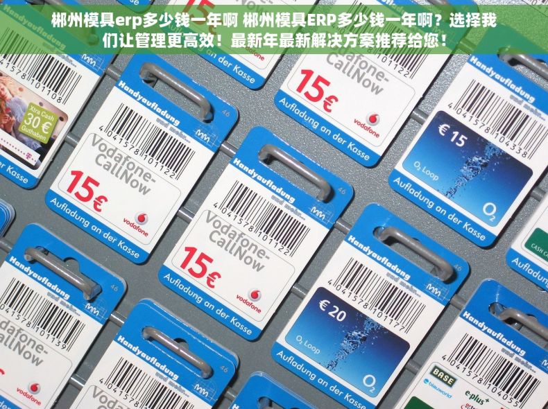 郴州模具erp多少钱一年啊 郴州模具ERP多少钱一年啊？选择我们让管理更高效！最新年最新解决方案推荐给您！