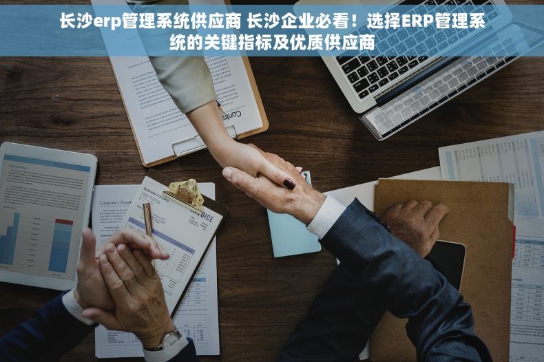 长沙erp管理系统供应商 长沙企业必看！选择ERP管理系统的关键指标及优质供应商